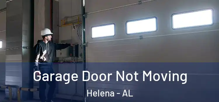  Garage Door Not Moving Helena - AL